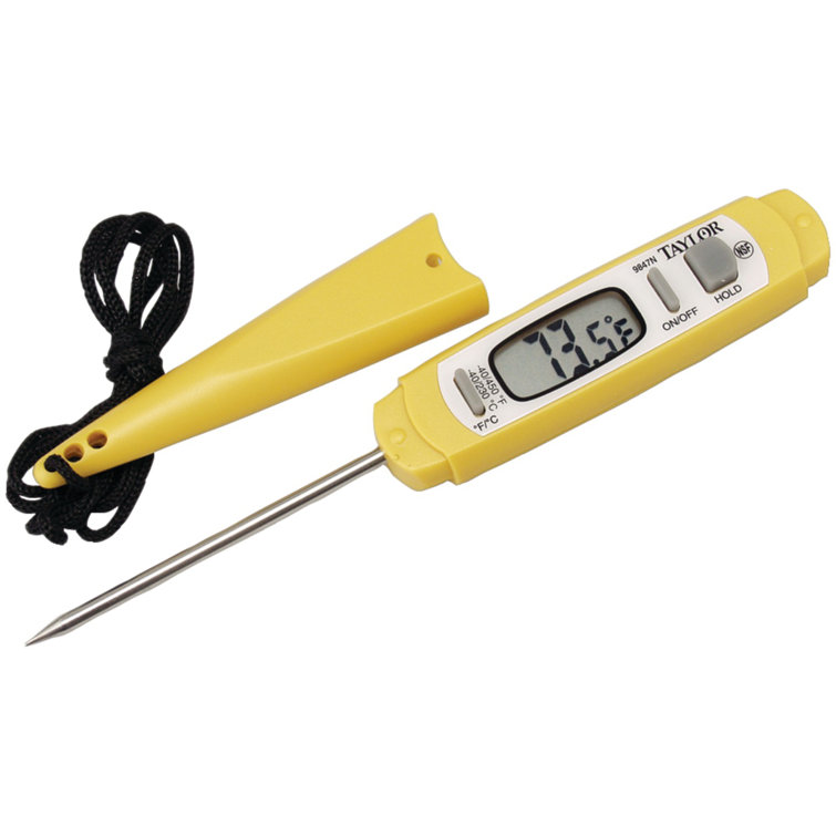 Taylor Antimicrobial Instant Read Digital Thermometer & Reviews